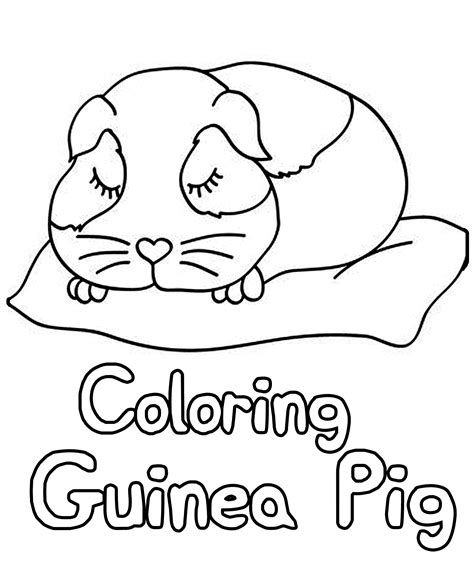 colouring pages guinea pigs|free printable guinea pigs.